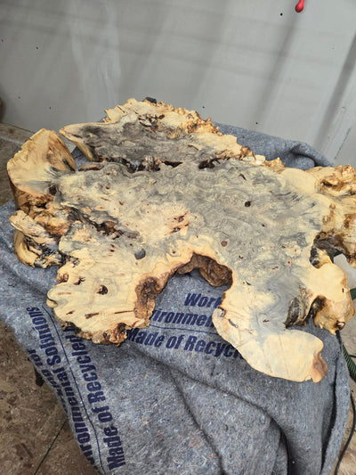 Live-Edge Burl Slab
